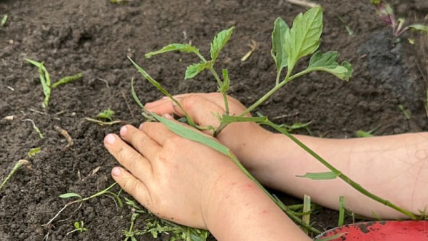 taller huerta